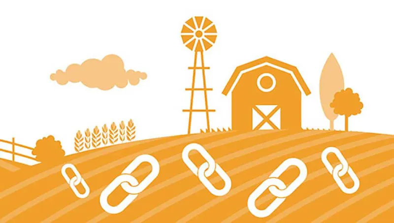 مزرعه لینک (Link Farm): 