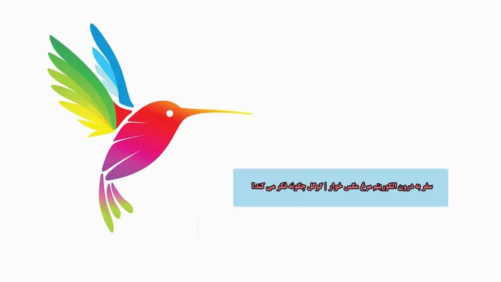 سفر به درون الگوریتم مرغ مگس خوار | گوگل چگونه فکر می کند؟